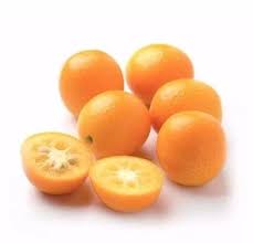 Mudas Cítricas - Frutasbella