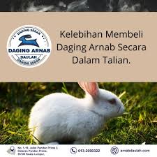 Kebaikan internet dalam kalangan masyarakat. Kelebihan Membeli Daging Arnab Secara Dalam Talian