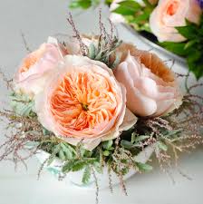 The following delivery options and charges are applicable to all products sold by david austin roses. Make Cut Roses Last Flower Magazine