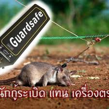 เคร องตรวจโลหะ ราคาด หน