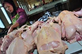 Harga dada ayam di pasar. Perbandingan Nilai Gizi Antara Paha Dan Dada Ayam Antara News Kalimantan Tengah Berita Terkini Kalimantan Tengah