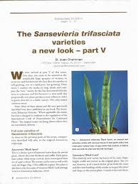 Image result for Sansevieria nilotica