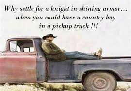 Released as a single in 1995, it peaked at no. Country Boy In A Pick Up Truck Country Boys Country Quotes Cowboy Quotes