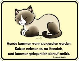 Bei spass.net gibt es über 25057 lustige bilder und es kommen täglich neue lustige bilder dazu! Coole Witzige Lustige Spruche Blechschilder Schild Hunde Katzen Haustiere Katze Schilder Scribeemr Blechschilder