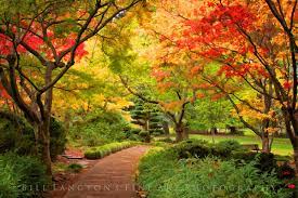 Japanese Garden Lithia Park Ashland Oregon Oregon Falls Scenic Landscape Oregon Travel