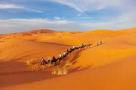 We offer morocco private tours with best guides to sahara desert with guided tours. Desert Tours From Marrakech Recommendations For Tours Trips Tickets Viator