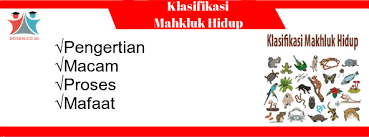 Taksa atau takson telah distandarisasi di seluruh dunia berdasarkan international code of botanical nomenclature dan international committee on zoological nomenclature. Klasifikasi Makhluk Hidup Proses Manfaat Macam Tujuan
