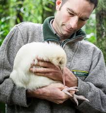 Feisty young kiwi is making his own way