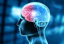 ¿de qué hablamos cuando hablamos de muerte cerebral? Un Gel Podria Reparar Los Danos De Un Derrame Cerebral Vix