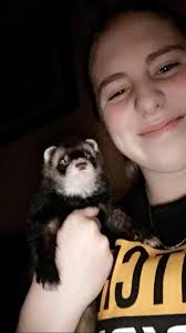 FOUND HER. HIDING IN THE HOUSE. SHE IS GOING TO BE THE DEATH OF ME,! 😂  EZMARALDA DID IT AGAIN SHE IS MISSING. PLEASE CALL 412-773-5266 Ezzie has  no eyes.