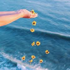 Sunflowers and daisies yellow flowers beautiful flowers growing sunflowers sun flowers sunflower quotes sunflower pictures flower aesthetic purple aesthetic. Beach Aesthetic Sunflower Pictures Largest Wallpaper Portal