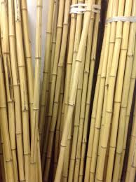 Check spelling or type a new query. Bamboo Poles Stakes Brightfields Natural Trading Company