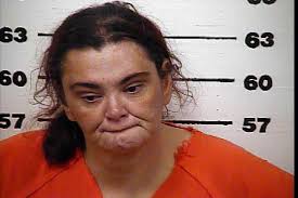 Hawkins Police Blotter: Phipps Bend auto burglary suspects arrested after  traffic stop