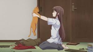 Pin By Storm On Fruits Basket Fruits Basket Anime Fruits Basket Anime