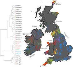 If you have been longing to see england, scotland and ireland in one go, now is your chance. The Irish Dna Atlas Revealing Fine Scale Population Structure And History Within Ireland Scientific Reports