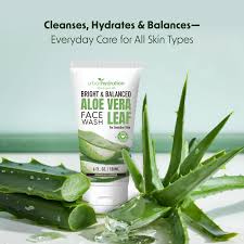 Image result for Aloe