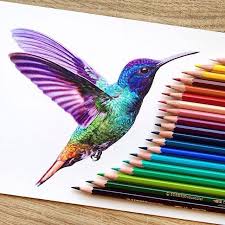 Amazing Artist Danstirling Bird Rainbow Artwork Amazing Artist Danstirling Danstirling Colora Emma Cara Menggambar Lukisan Pensil Warna Seni Inspirasi