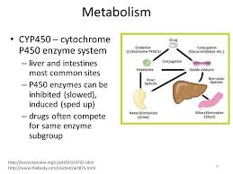 combining essential oils meds and cyp450 enzymes the