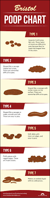 Your bowels hold more information about you than you can imagine. Types Of Poop