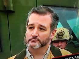 The first step is to grow a full beard if you don't already have one. Ted Cruz With A Wolverine Beard Pics