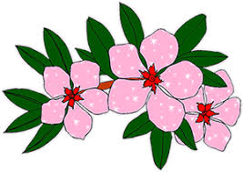 Animated monarch butterfly collects nectar from swinging flower fur rigged. Red Rose Animation Gif
