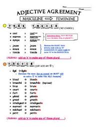 French Adjective Agreement Variations Chart French Adjectives Adjectives Teaching