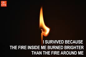 Quotes contained on this page have been double checked for their citations, their accuracy and the impact it will have on our readers. I Survived Because The Fire Inside Me Burned Brighter Than The Fire Around Me Quotes Quote Quoteoftheday Quote Of The Day Fire Inside I Survived