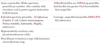 Image result for Extended Spectrum Penicillin