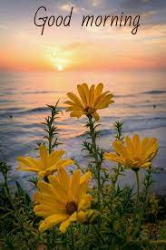Check spelling or type a new query. Good Morning Flowers Photography Beautiful Landscapes Beautiful Nature