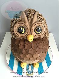 Founded in 1867, sheffield wednesday is one of the oldest football clubs. Sheffield Wednesday Owl Shaped Cake Owl Cake Birthday Cake Boy Birthday Cake