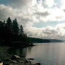 Maybe you would like to learn more about one of these? Spruce Cone Cabins Rooms Pictures Reviews Tripadvisor