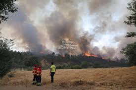 El incendio del algarve (sur de portugal), desatado el pasado viernes, se ha estabilizado hoy al disminuir la intensidad de los frentes del fuego, que alcanza un perímetro de 100 kilómetros y. Diario Extra Incendio Del Algarve Luso Avanza Descontrolado Por Quinto Dia Consecutivo
