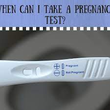 How Soon Can I Take A Pregnancy Test Wehavekids