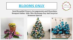 Order flowers online from interflora. Christmas Flower Delivery Online In Pune Blooms Only By Blooms Only Issuu