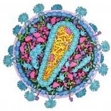 The protein data bank was established at brookhaven. Protein Data Bank Rcsbpdb Twitter