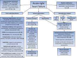 Image result for Right Heart Failure
