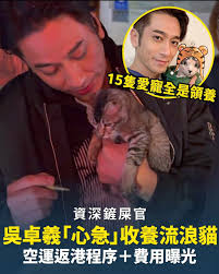 Post by Man Tsoi (@joettsoi)