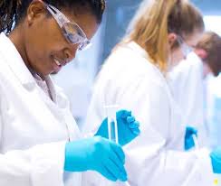 A Guide to Your Courses