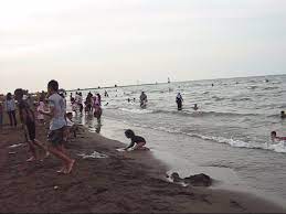 Anda ingin berlibur ke pantai sigandu? Tempat Wisata Pantai Sigandu Dengan Batang Dolphins Center Di Batang