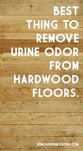 Best Thing To Remove Urine Odor From Hardwood Floors Cleaning Pet Urine Urinal Dog Urine Odor Remover
