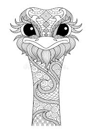 Mandala dieren kleurplaat gratis download pinterest dieren. Hand Getrokken Zentangle Struisvogel Royalty Vrije Illustratie Mandala Kleurplaten Zentangle Kunst Kleurpotloodtekeningen
