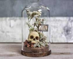 Skull Terrarium Vanitas White Skull Decor Miniature Glass Dome Terrarium Curiosity Cabinets Skull Decor Goth In 2020 Terrarium Decor Skull Decor Glass Domes
