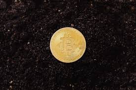 The bank launched its own cryptocurrency—jpm coin—this year. Elmuvugq Wghrm