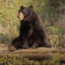Wildlife Artists Prints Ken Carlson Paintings At The Steamboat Art Museum Steamboat Pilot Bear Paintings Black Bears Art Wildlife Artists
