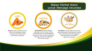 Tips agar sistem imunitas tetap terjaga antara lain dengan menerapkan pola makan sehat, rutin berolahraga,, dan konsumsi suplemen. Pentingnya Menjaga Imun Tubuh Di Masa Pandemi