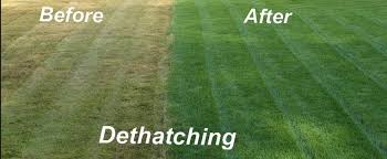 Rather than removing the biological material of the thatch, however, it would be better to hasten its decomposition and incorporation into the soil. Dethatching Unks Lawn Care Mowing Lawn Maintenance Aeration Machesney Park Il Unks Lawn Care
