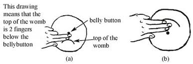 Antenatal Care Module 10 Estimating Gestational Age From