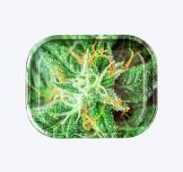 Small Rolling Trays — MJ Wholesale