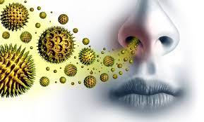 Why Do We Get Allergies Bergerhenry Ent Specialty Group