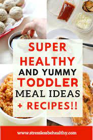 28 Healthy Toddler Meal Ideas With Recipes Raise Healthy Kids Toddler Meals Recipes Healthy Toddler Meals